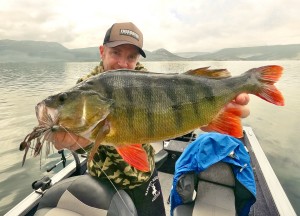 Toute l’équipe Fish Connection vous présente ses meilleurs vœux pour 2026 !